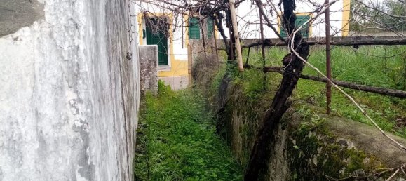 3 غرف نوم منزل في Abrantes, Portugal رقم 19740 19