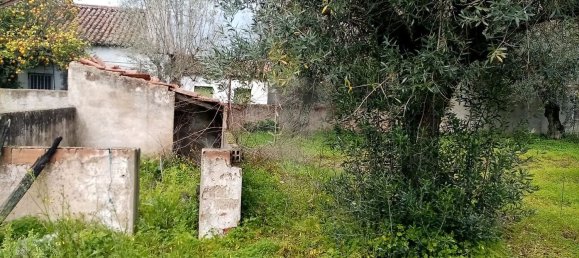 3 غرف نوم منزل في Abrantes, Portugal رقم 19740 24