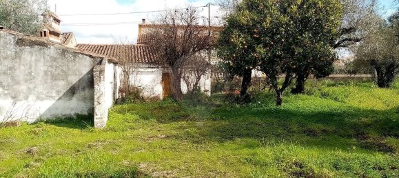 3 غرف نوم منزل في Abrantes, Portugal رقم 19740 20