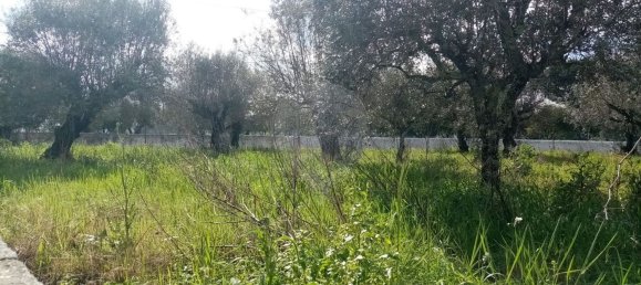 3 غرف نوم منزل في Abrantes, Portugal رقم 19740 28