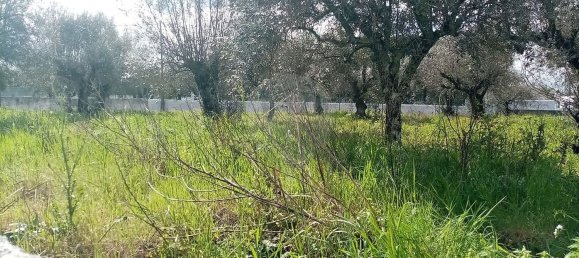 3 غرف نوم منزل في Abrantes, Portugal رقم 19740 26