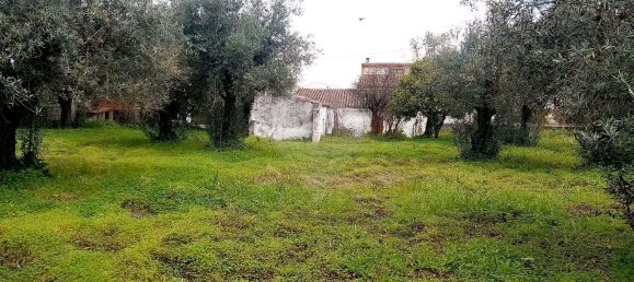 3 غرف نوم منزل في Abrantes, Portugal رقم 19740 25