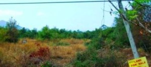  Commercial property in Pattaya, Thailand No. 11681 4