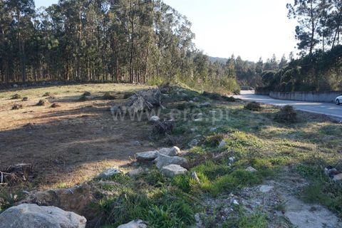 Land in Barcelos, Portugal No. 202228