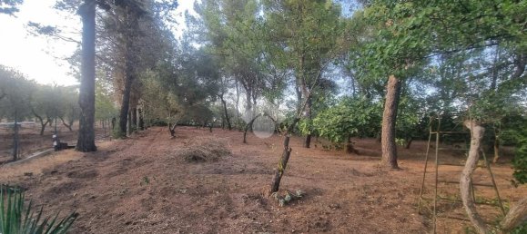 3 rooms Villa in Francavilla Fontana, Italy No. 24613 29