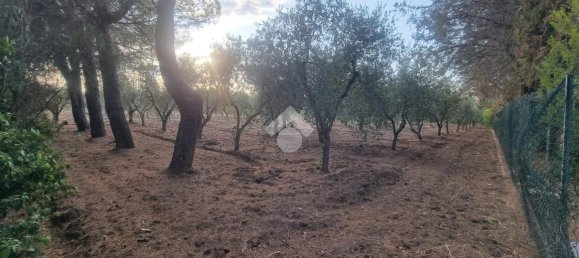 3 rooms Villa in Francavilla Fontana, Italy No. 24613 30