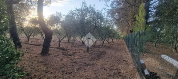 3 rooms Villa in Francavilla Fontana, Italy No. 24613 28