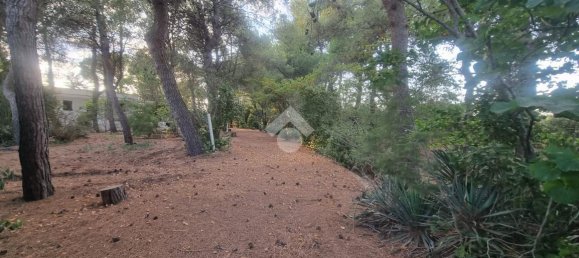 3 rooms Villa in Francavilla Fontana, Italy No. 24613 27