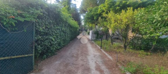 3 rooms Villa in Francavilla Fontana, Italy No. 24613 24