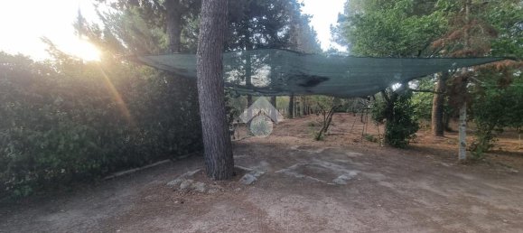 3 rooms Villa in Francavilla Fontana, Italy No. 24613 22