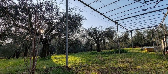 Вилла с 1 спальней в Галликано нель Лацио, Италия № 124670 24