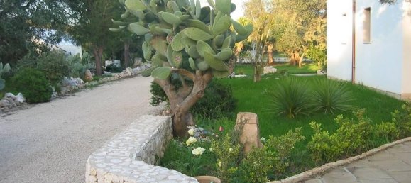 24 rooms Villa in Porto Cesareo, Italy No. 170911 40