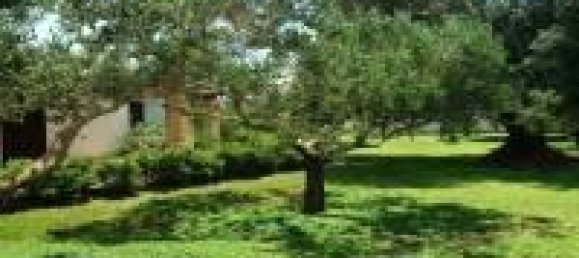 24 rooms Villa in Porto Cesareo, Italy No. 170911 21