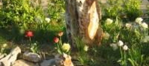 24 rooms Villa in Porto Cesareo, Italy No. 170911 24