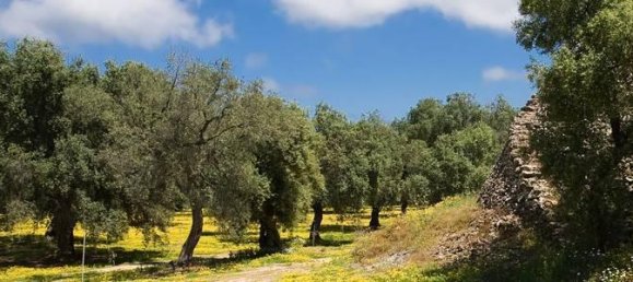 24 rooms Villa in Porto Cesareo, Italy No. 170911 36