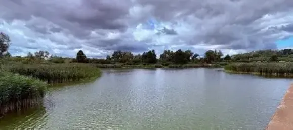 1 bedroom House in Uckermark, Germany No. 311473 15