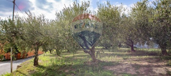 Земельный участок в Казалинконтрада, Италия № 330161 2