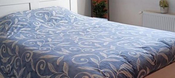 3 Schlafzimmer Haus in Tourcoing, France, Nr. 316258 7