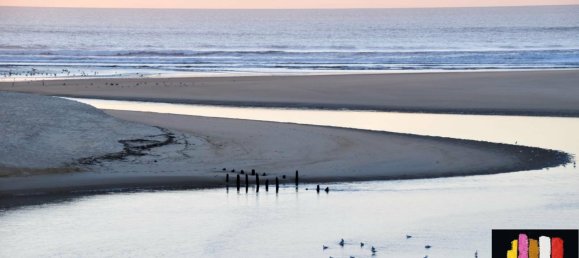 5 غرف نوم منزل في Moliets-et-Maa, France رقم 278767 7