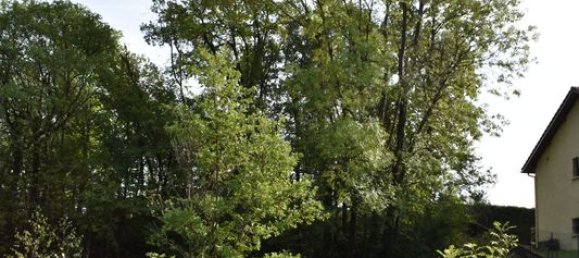  Land in Claix, France No. 288364 3