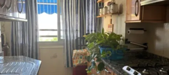 2 غرف نوم شقة في Andalusia, Spain رقم 181679 6