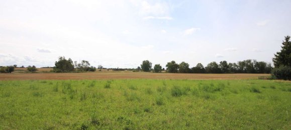 6 rooms House in Havelland, Germany No. 20094 16