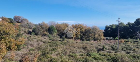 12021m² Land in Viagrande, Italy No. 300043 22