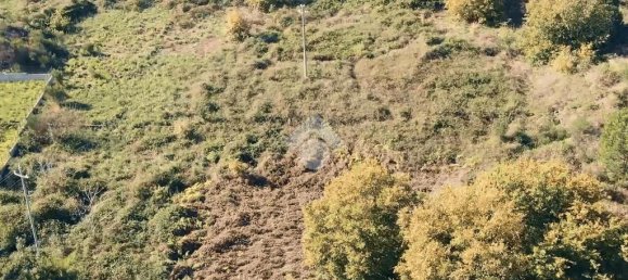 12021m² Land in Viagrande, Italy No. 300043 4