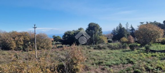 12021m² Land in Viagrande, Italy No. 300043 21