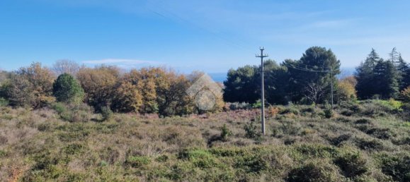 12021m² Land in Viagrande, Italy No. 300043 24