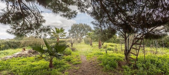 2 bedrooms House in Moita, Portugal No. 179882 10