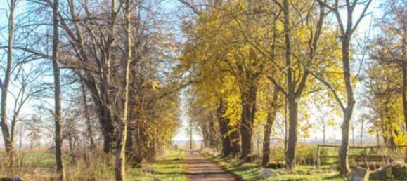 Castelos T7 em Munich, Germany N.º 141811 7