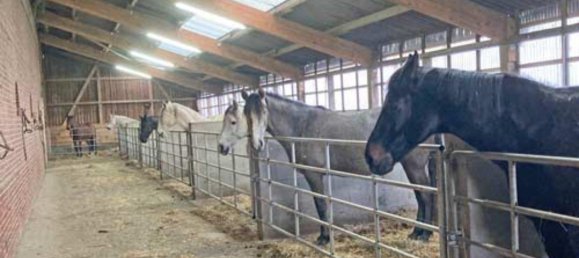 Castelos T7 em Munich, Germany N.º 141811 5