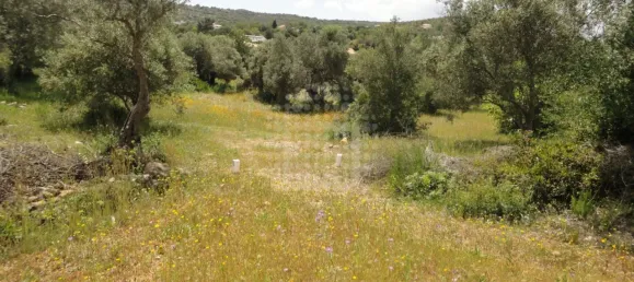 Grundstück in Sao Bras de Alportel, Portugal, Nr. 58320 5