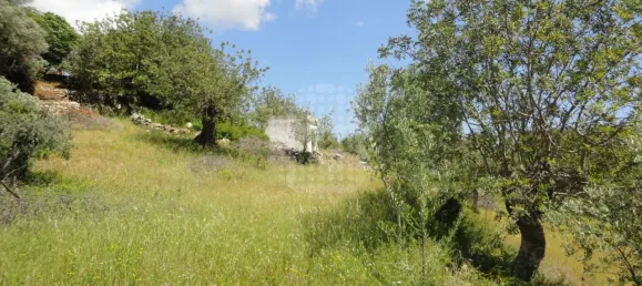 Grundstück in Sao Bras de Alportel, Portugal, Nr. 58320 4