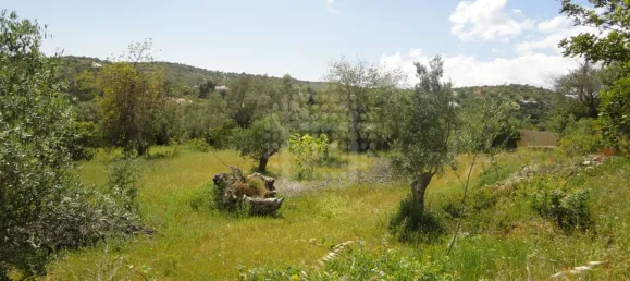 Grundstück in Sao Bras de Alportel, Portugal, Nr. 58320 9