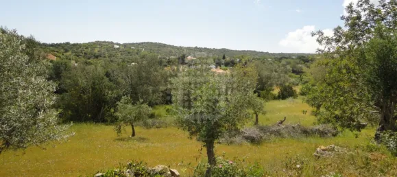 Grundstück in Sao Bras de Alportel, Portugal, Nr. 58320 2