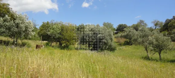 Grundstück in Sao Bras de Alportel, Portugal, Nr. 58320 7