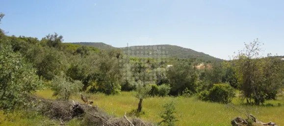 Grundstück in Sao Bras de Alportel, Portugal, Nr. 58320 11
