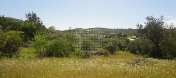 Grundstück in Sao Bras de Alportel, Portugal, Nr. 58320 8