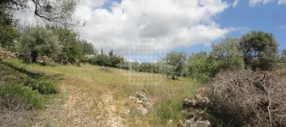 Grundstück in Sao Bras de Alportel, Portugal, Nr. 58320 6