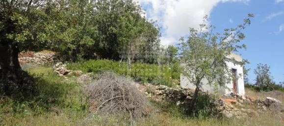 Grundstück in Sao Bras de Alportel, Portugal, Nr. 58320 3