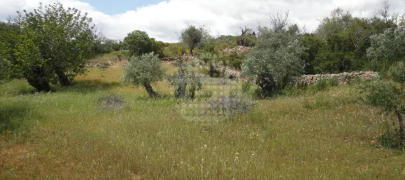 Grundstück in Sao Bras de Alportel, Portugal, Nr. 58320 10