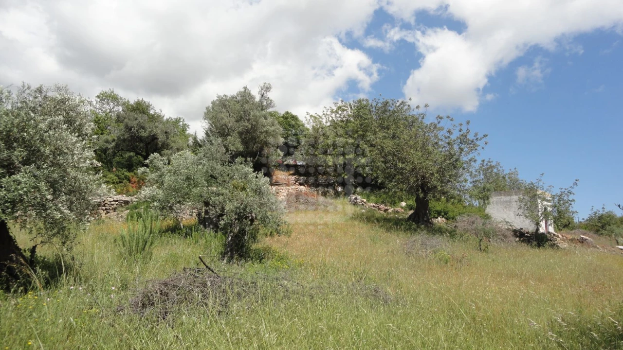 Grundstück in Sao Bras de Alportel, Portugal, Nr. 58320