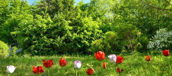 7-Zimmer Haus in Kaltenleutgeben, Austria, Nr. 142046 37