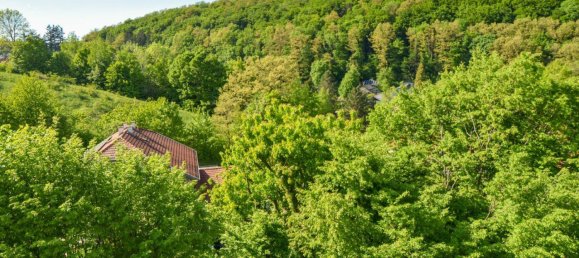 7-Zimmer Haus in Kaltenleutgeben, Austria, Nr. 142046 22