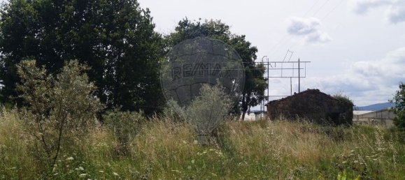 9800m² Warehouse in Tondela, Portugal No. 39421 3