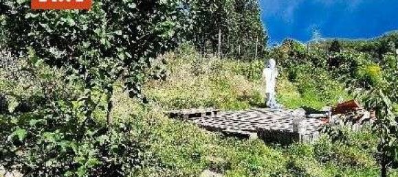 6 Schlafzimmer Haus in Birkenfeld, Germany, Nr. 132351 2