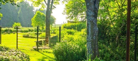 Casa de 13 habitaciónes en Grafenschlag, Austria No. 195897 31