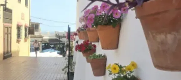 3 bedrooms Apartment in Torremolinos, Spain No. 155531 25